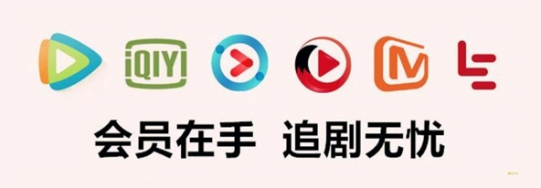 # 从源头到终端：影视会员货源网站深度解析与发卡网平台搭建实战指南